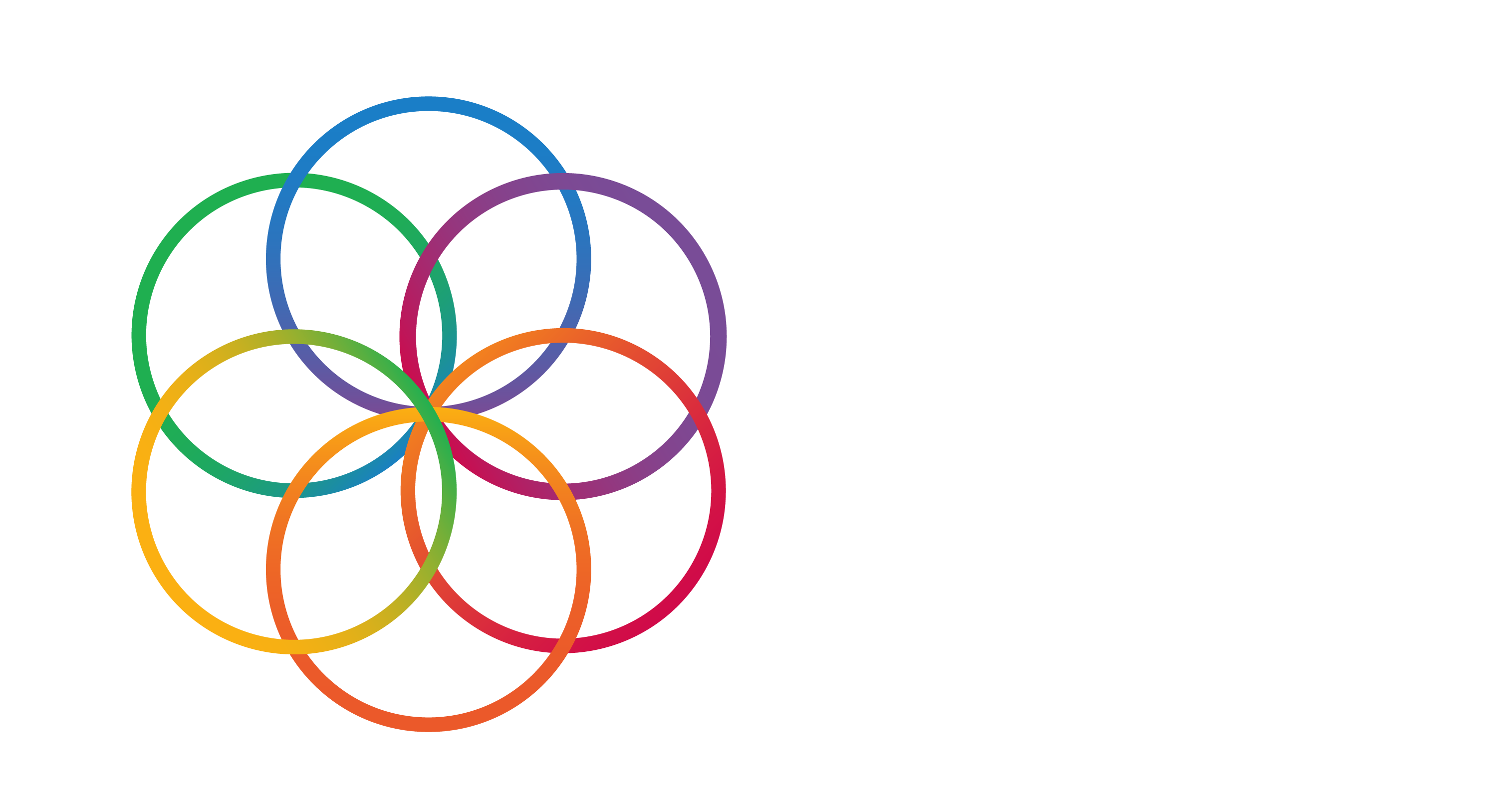 International Working Group for Health Systems Strengthening